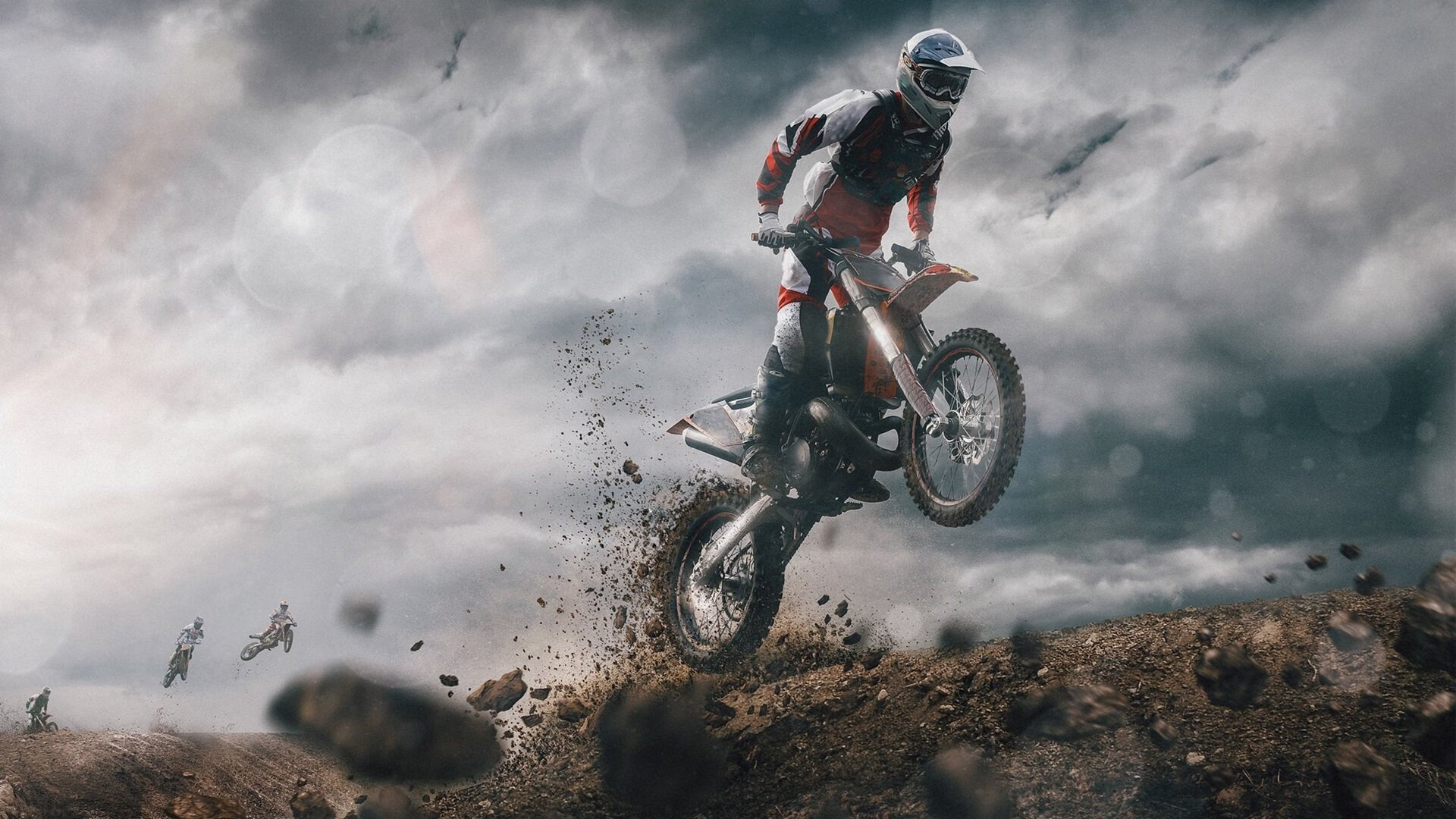 荷兰马术协会与法国马术协会合作，举办国际马术研讨会，促进学术交流。